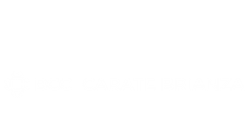 bcc-v2
